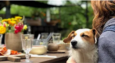 Extended-Enjoyment-Stops