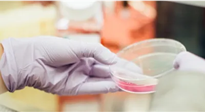 Medical-Support-Access