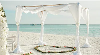 On-Island-Event-Planning