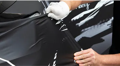 Privacy-Customization