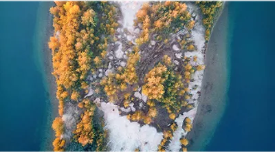 Seasonal-Timing-Expertise