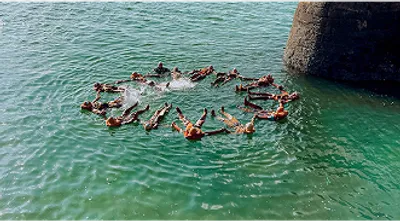 Specialist-Coordination