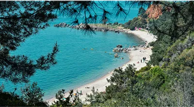 Tailored-Island-Matching