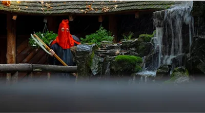 Armed/Unarmed-Options