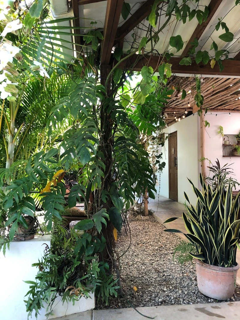 DR Cabarete