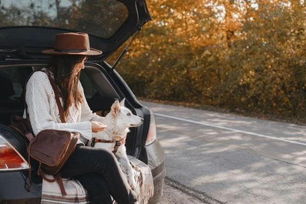 Incentive trips